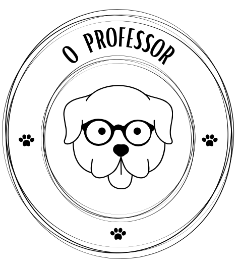 O Professor