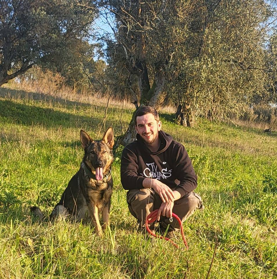 Bernardo - Especialista em Educação Canina